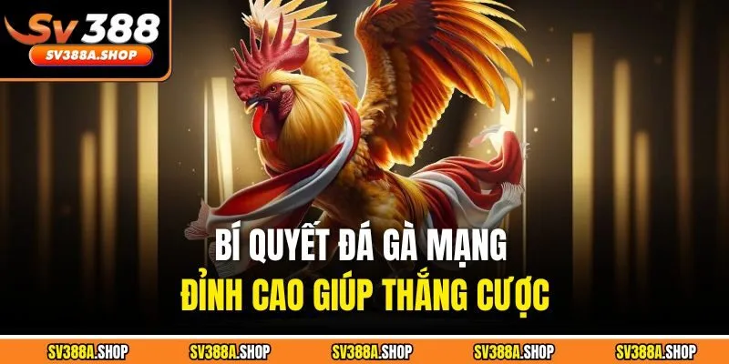 Bí quyết đá gà mạng đỉnh cao giúp thắng cược