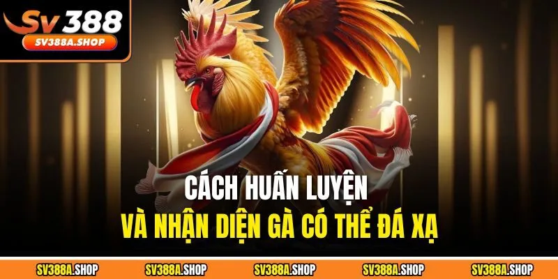 Cách huấn luyện và nhận diện gà có thể đá xạ