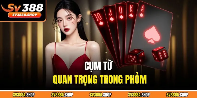 Cụm từ quan trọng trong phỏm