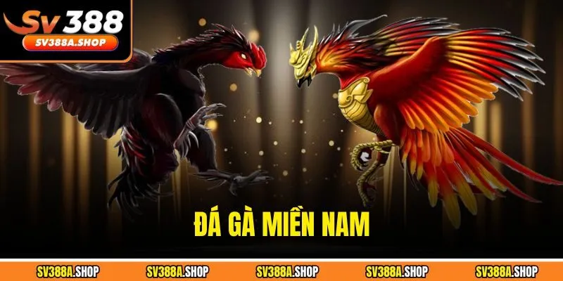 Đá Gà Miền Nam - Chinh Phục Trò Chơi Ngay Tại SV388