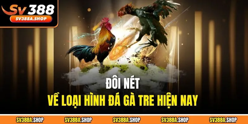 Đôi nét về loại hình đá gà tre hiện nay 