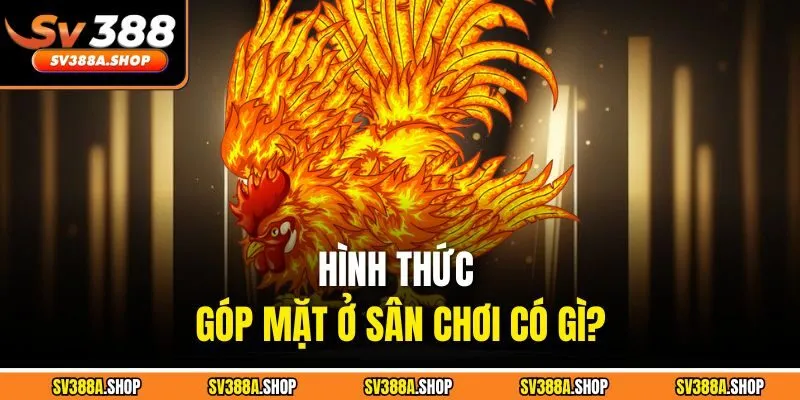 Hình thức góp mặt ở sân chơi có gì?