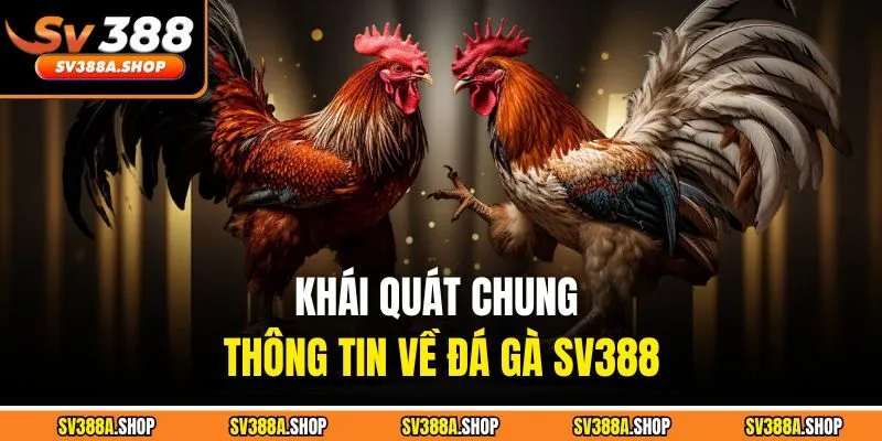 Khái quát chung thông tin về đá gà SV388