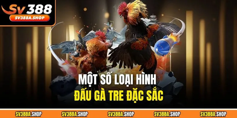 Một số loại hình đấu gà tre đặc sắc