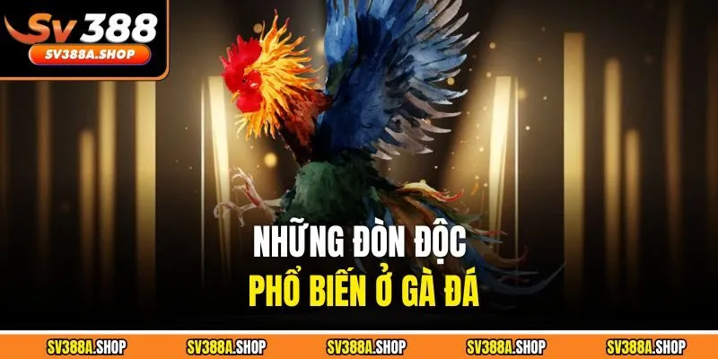 Những đòn độc phổ biến ở gà đá