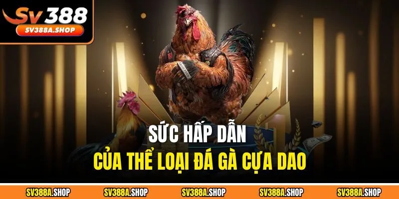 Sức hấp dẫn của thể loại đá gà cựa dao
