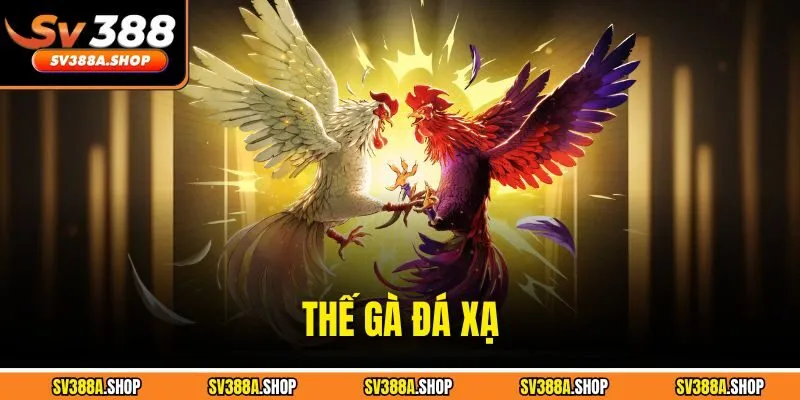 Thế Gà Đá Xạ - Lối Đánh Khiến Đối Thủ Không Kịp Phản Ứng