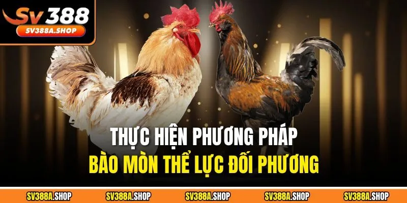 Thực hiện phương pháp bào mòn thể lực đối phương 