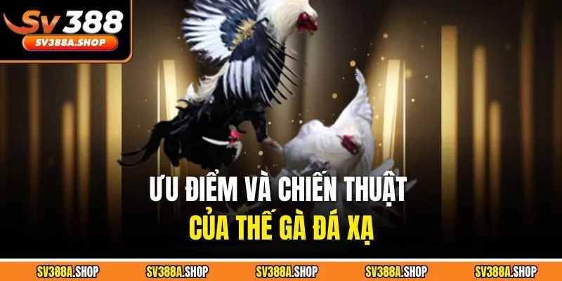 Ưu điểm và chiến thuật của thế gà đá xạ